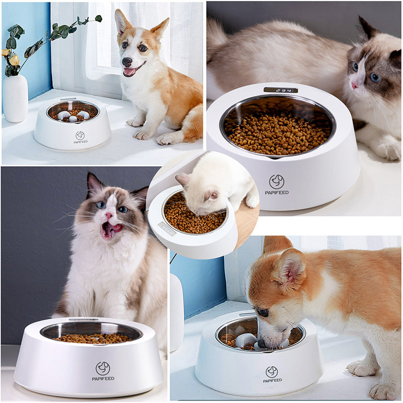 Modern white smart pet bowl