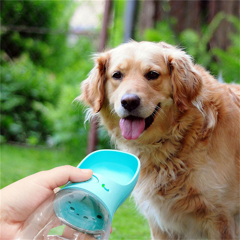 Daily Mini GoBottle portable pet water bottle