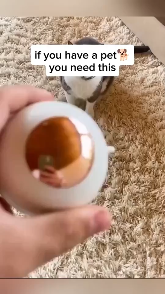 Reusable lint roller for pet homes