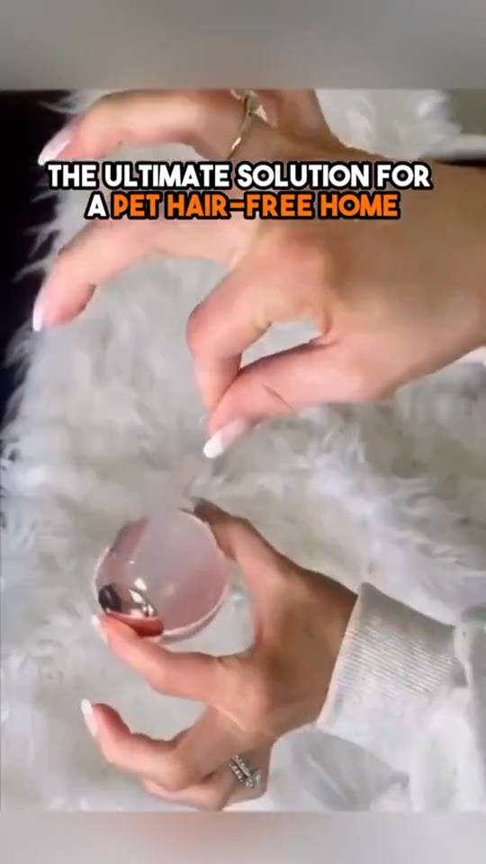 Portable pet fur cleaning tool