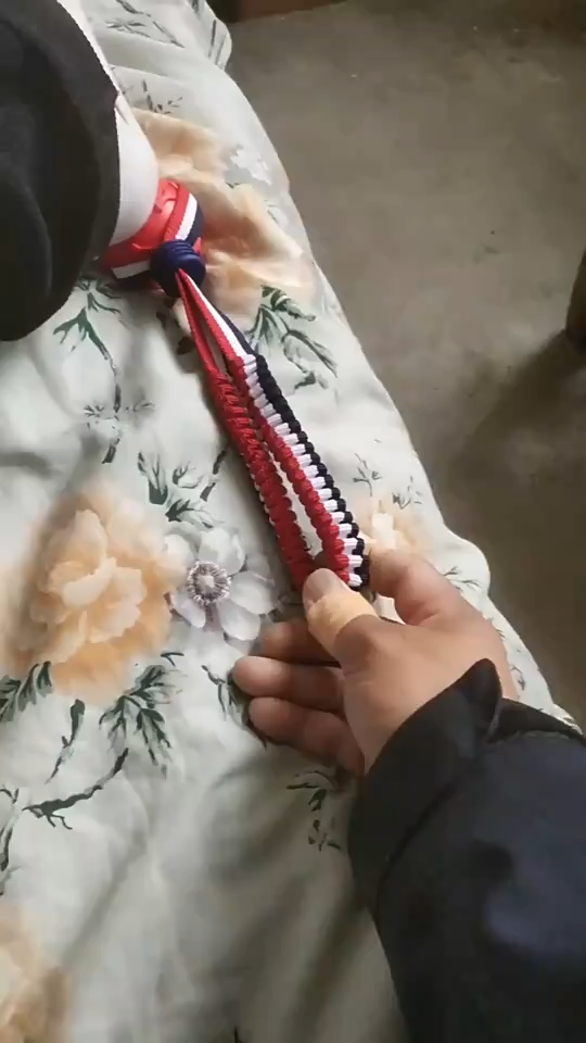 Textured dog chew ball with rope