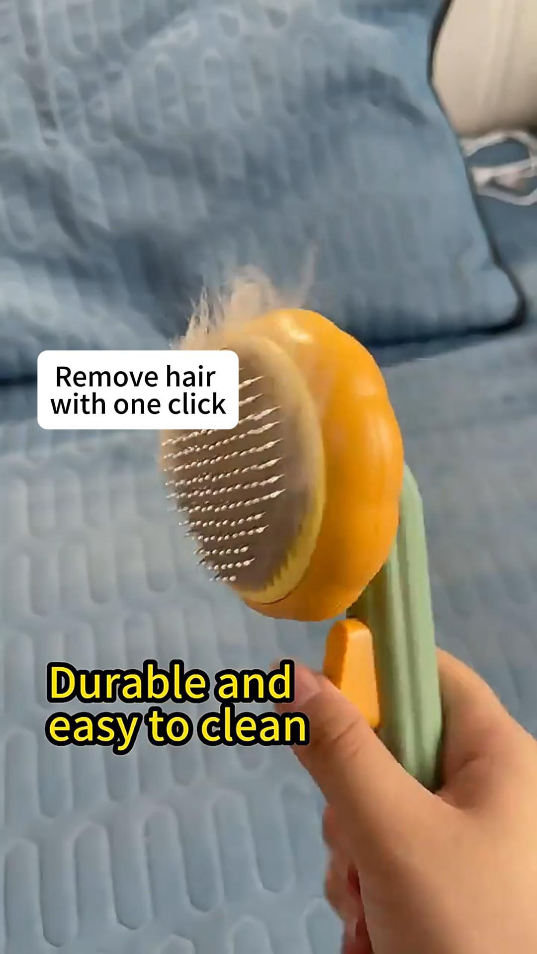 Pumpkin pet brush for dogs and cats